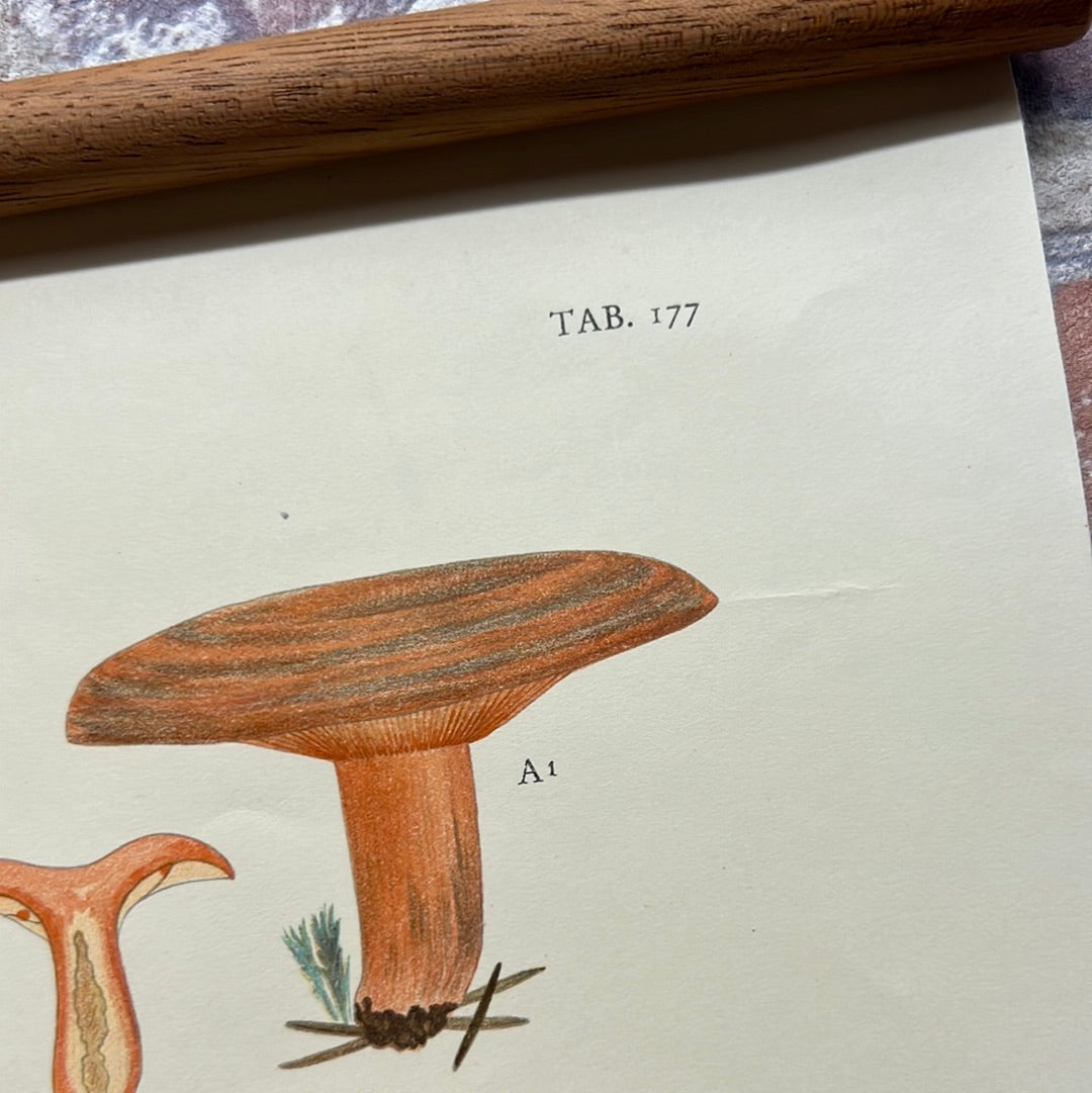 Tab. 177
