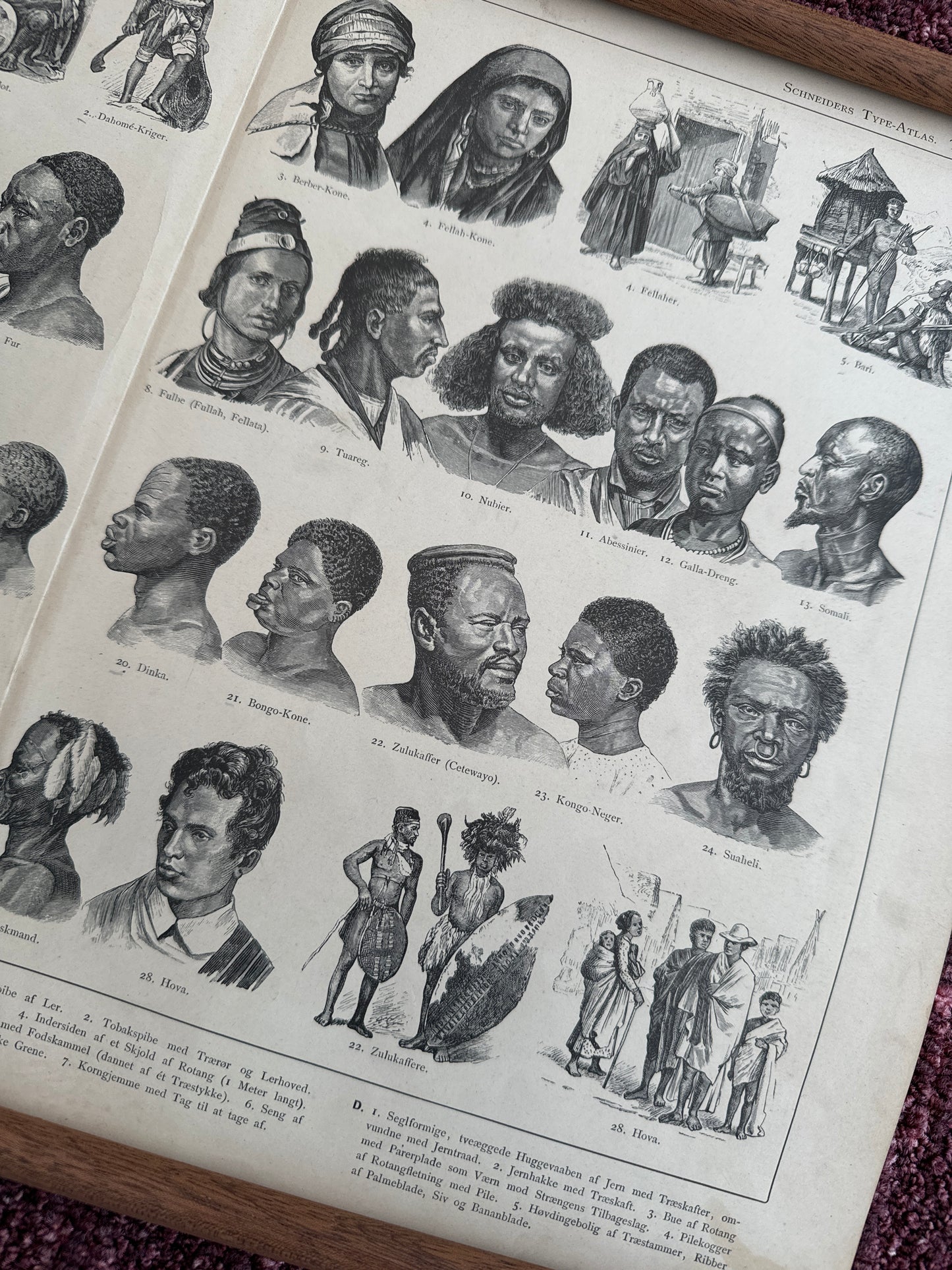 Afrika