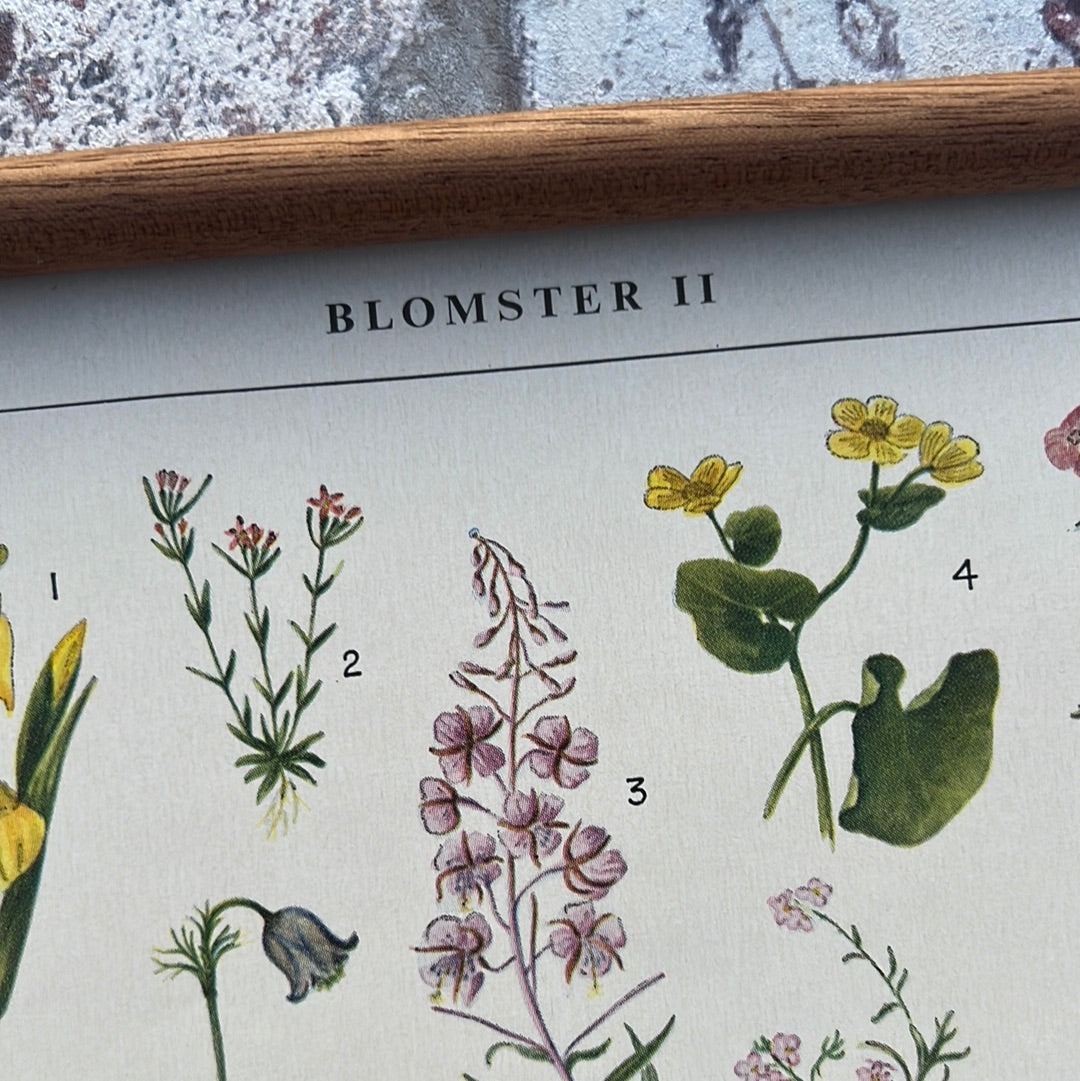 Blomster II
