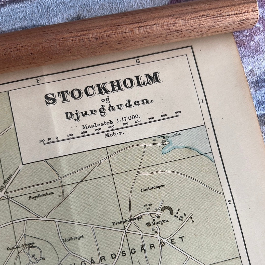 Stockholm og Djurgården 1905