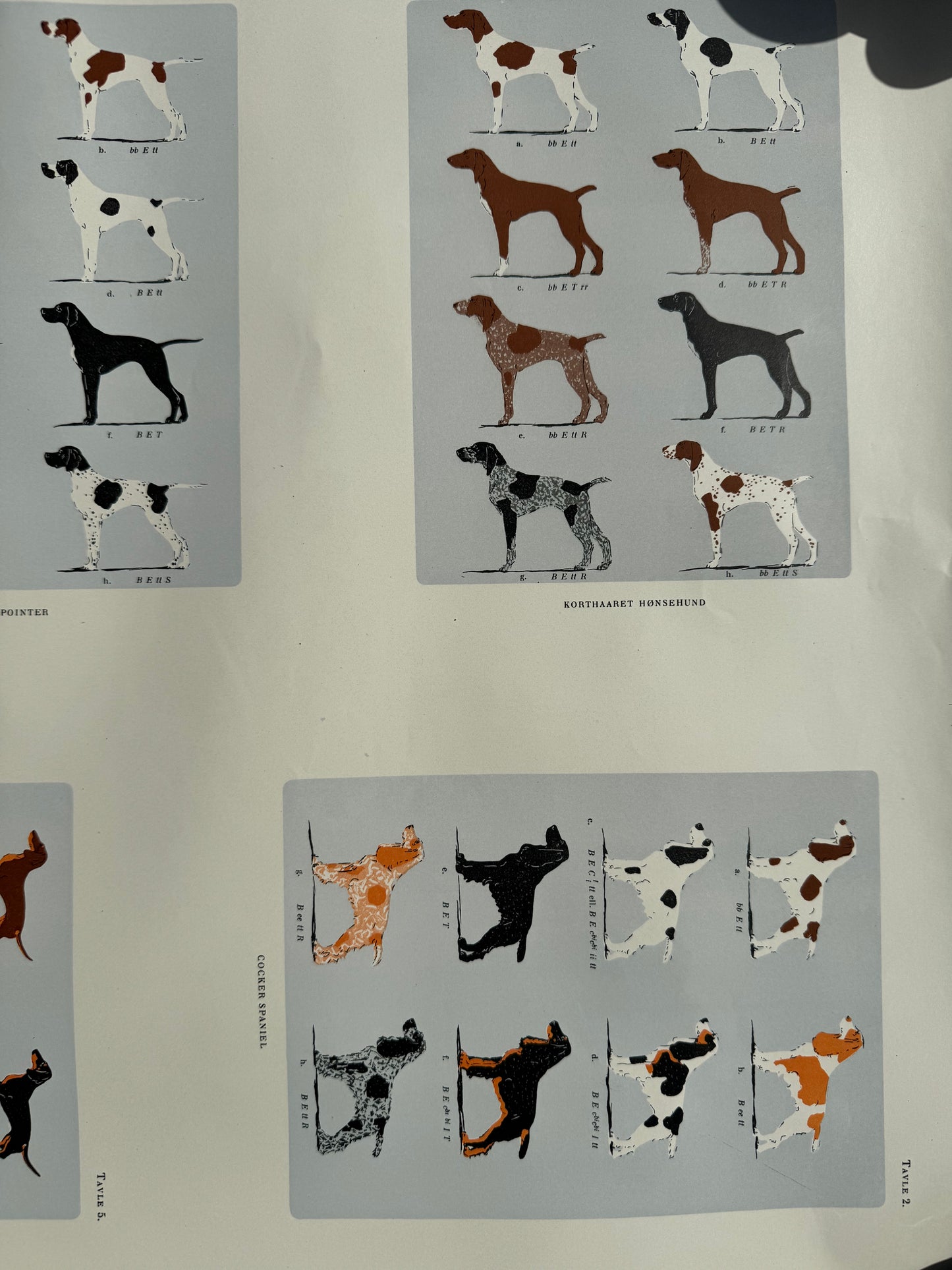 Hunde