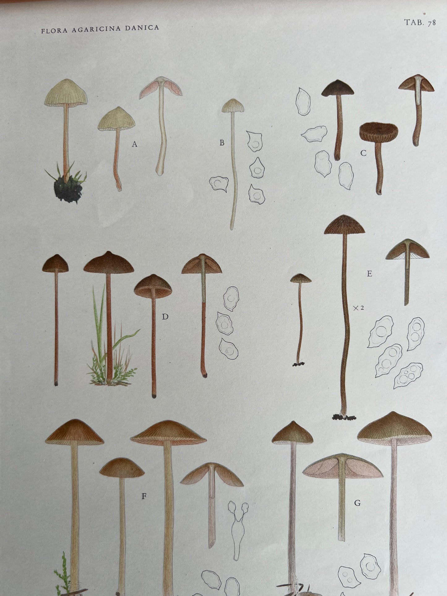 Tab. 78