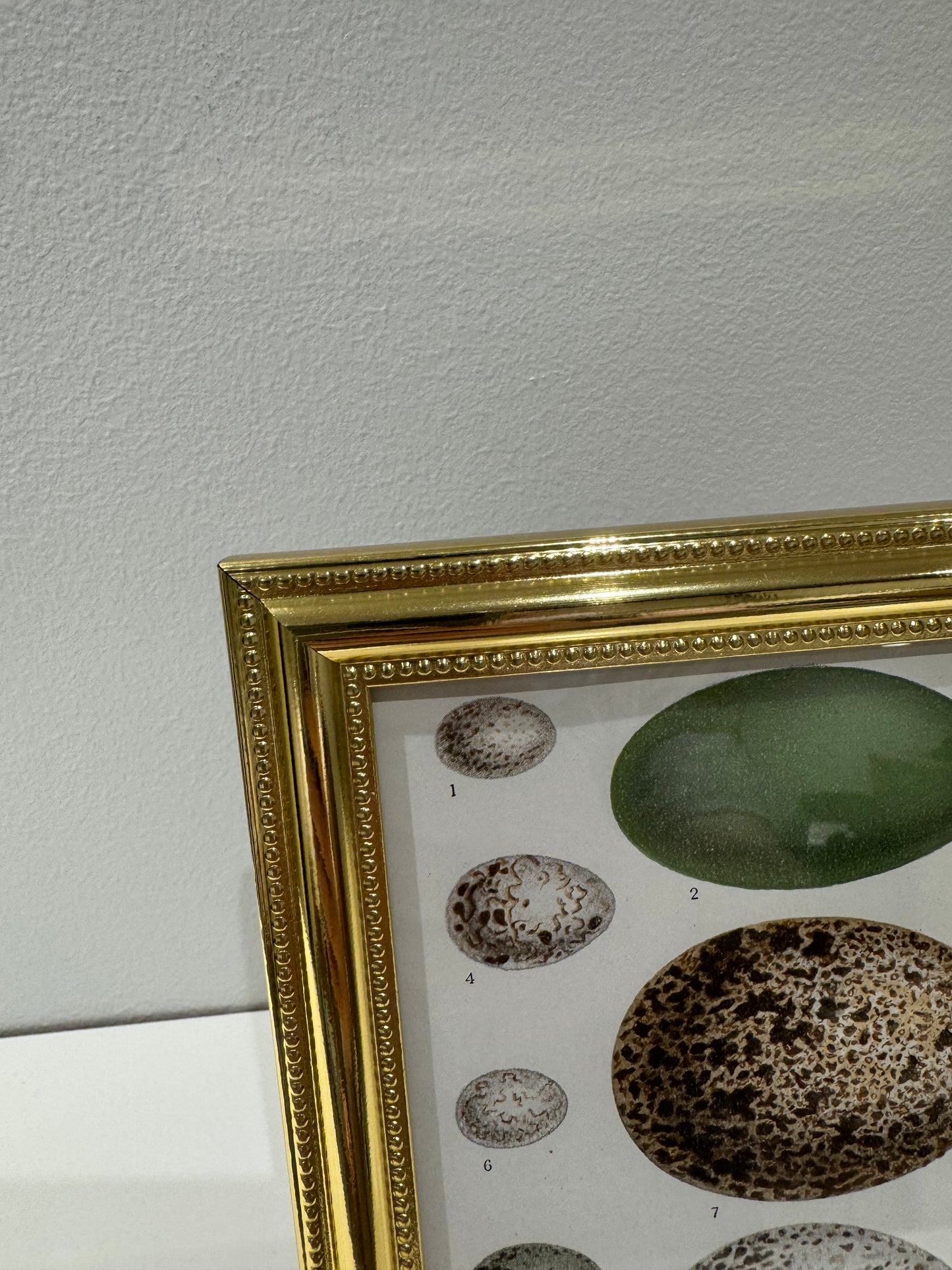 Fugleæg guld ramme
