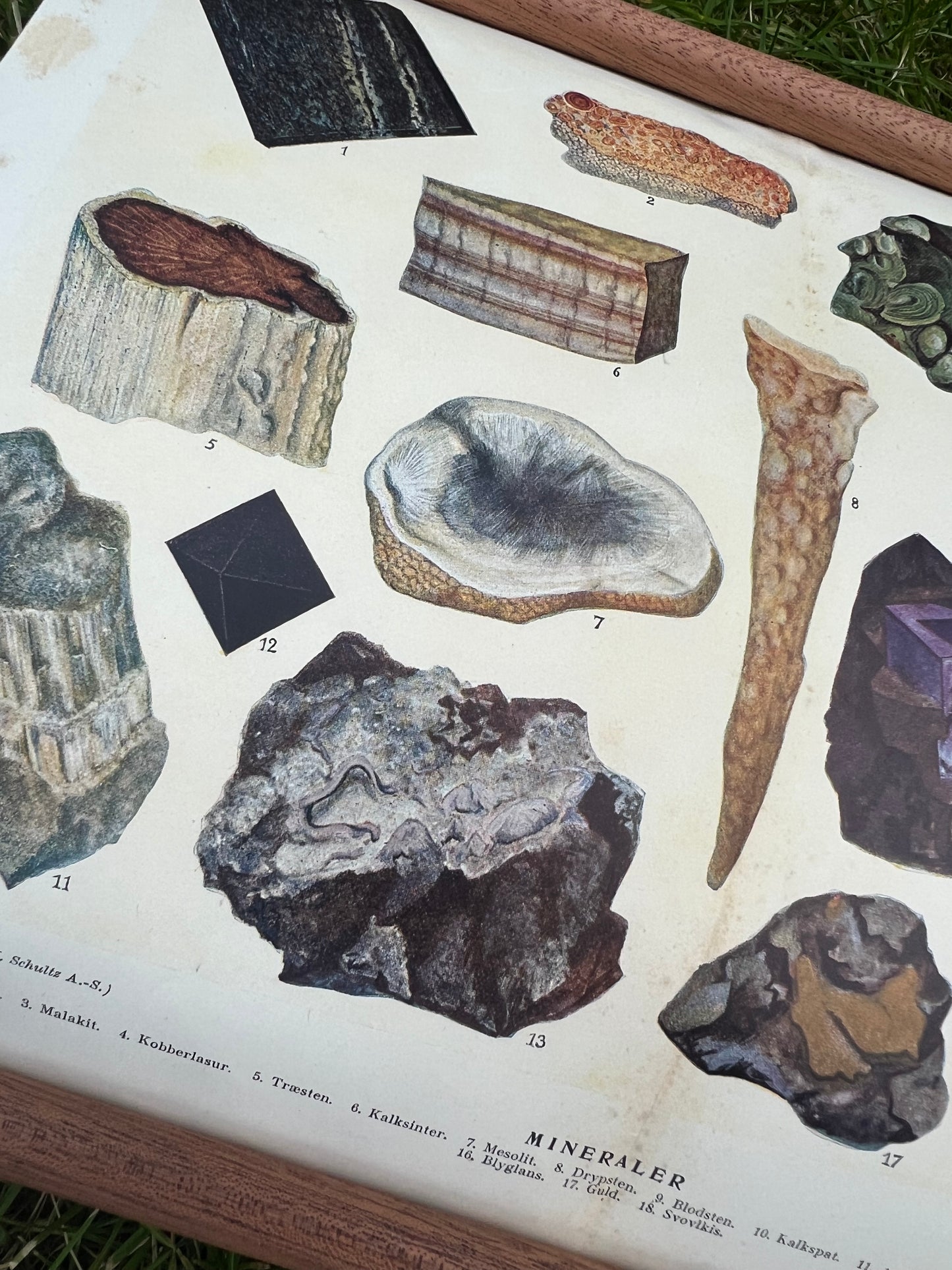 Mineraler