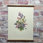 Aconitum, Willow, herb, anemone, clematis