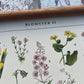 Blomster II