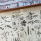 Industriplanter I
