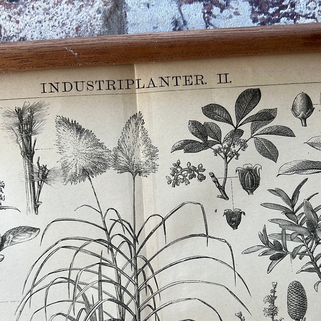 Industriplanter II