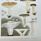 Tab. 177