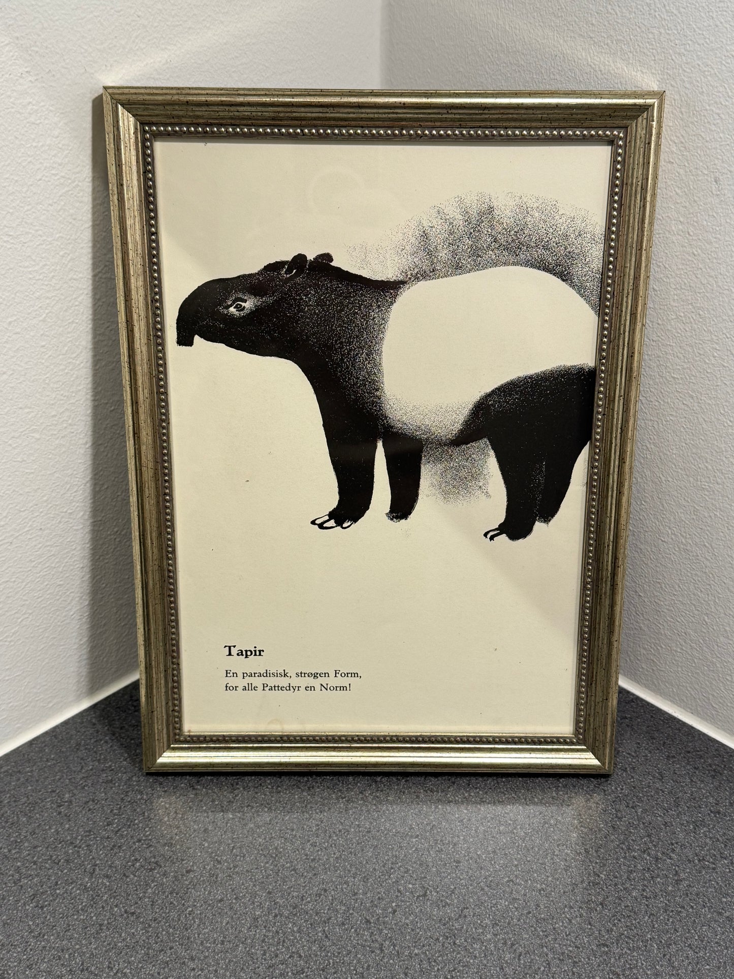 Tapir