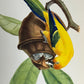 Tropisk fugl 2