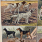 Hunde