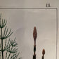 III